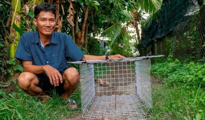 В'єтнамець вважає злодійство домашніх тварин лише роботою (5 фото)