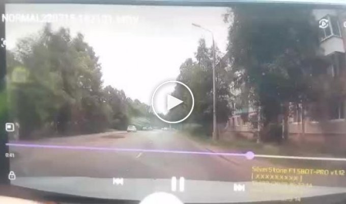В Архангельске пожилой водитель сбил школьницу с собачкой