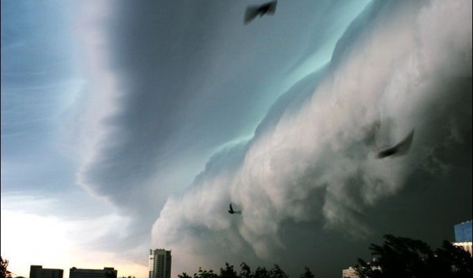 В Москве был шторм