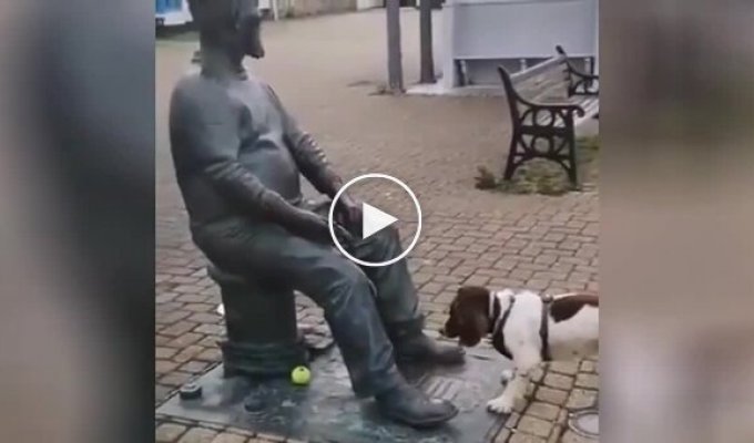 Собака решила поиграть в мячик со статуей