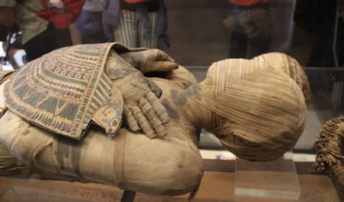 Scientists Study Mummies and Uncover the Real Cause Behind the 'Curse' Kept Silent for a Century (10 photos)