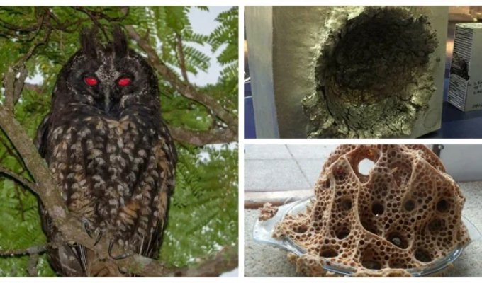 30 впечатляющих снимков со всего света (31 фото)