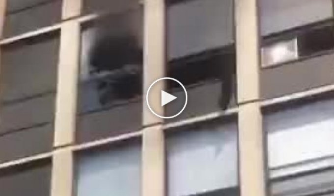 Кот выпрыгивает с 5 этажа горящего здания