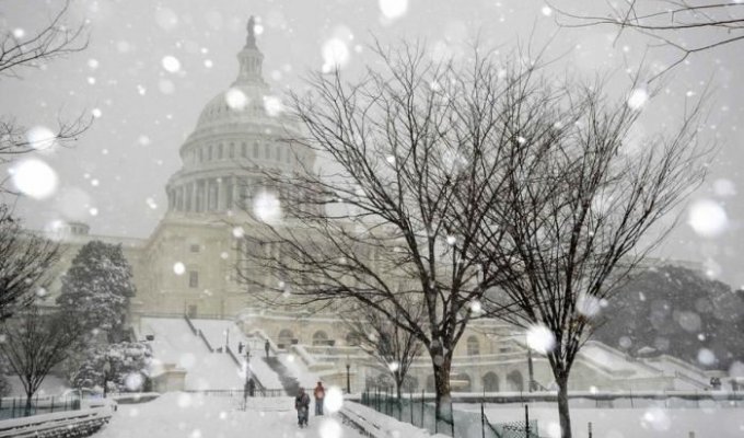 Снегопад в Вашингтоне (9 фотографий)