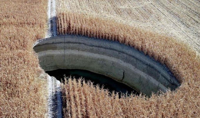 A frightening sinkhole in a farmer's field (8 photos)