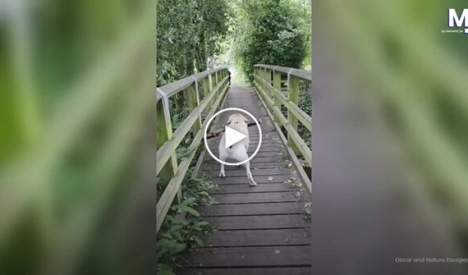 Когда очень хочется забрать находку с собой