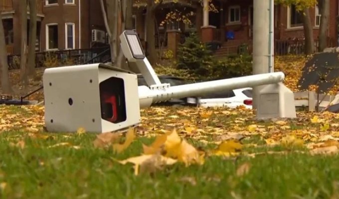 Власти Онтарио в Канаде отменили скоростемеры (2 фото)