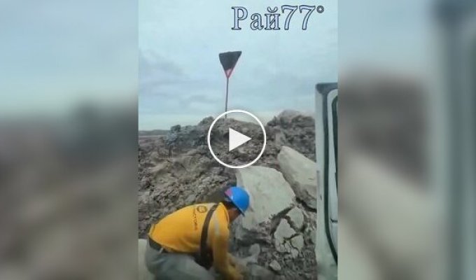 Парень бросил камень в дорожный знак, облепленный пчелами