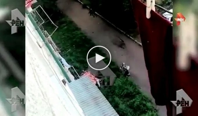 Ребенок выпал из окна жилого дома, расположенного на Калининской улице во Владивостоке