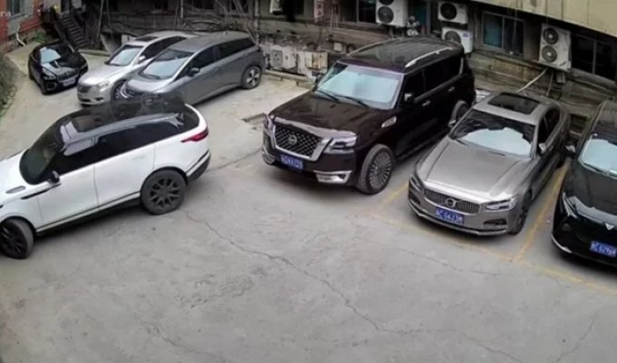 Долго целился и попал (3 фото + 1 видео)