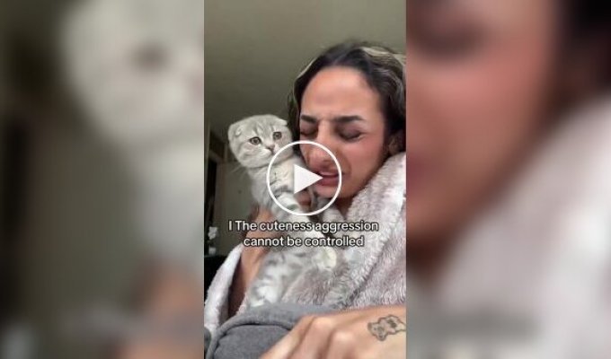 Кошкам тоже приходится несладко