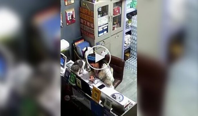 Кот пришел попрощаться