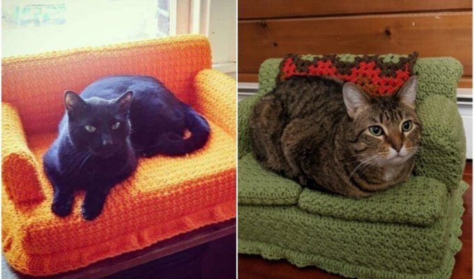 Хозяева вяжут для котов диванчики - и это сплошная милота! (21 фото)