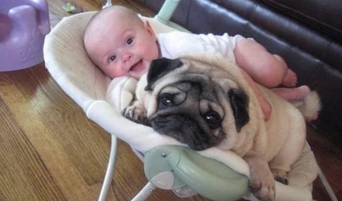 Dogs are babies' best friends (9 photos)