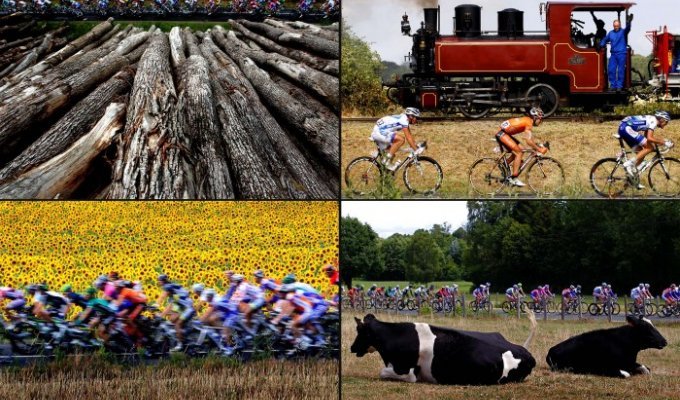 Тур-де-Франс-2011: хаос, аварии и выдержка (51 фото)