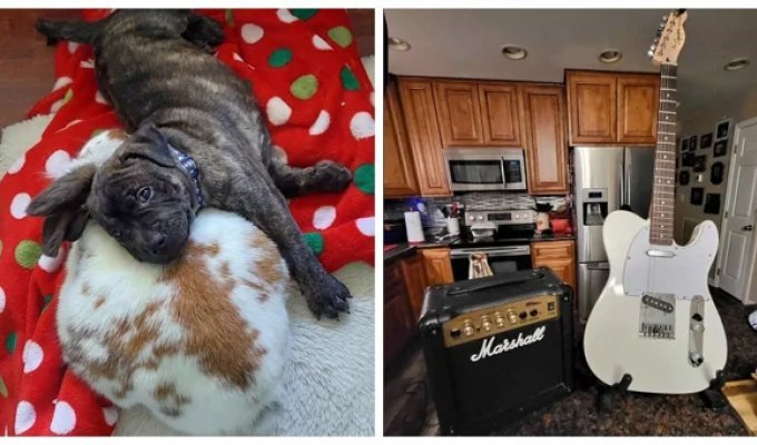 17 иллюзий в кадре, которые заставят усомниться в существующей реальности (19 фото)