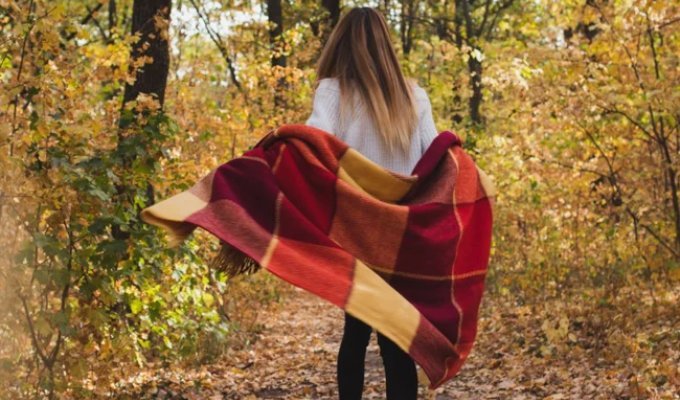 Чому восени кортить загорнутися в плед: наука й історія сезонного затишку (10 фото)