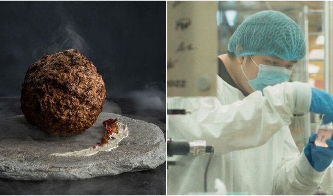 Australian scientists recreate mammoth meat and make a meatball out of it (7 photos + 1 video)