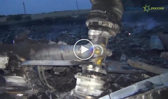 Boeing над Донецком был сбит российской техникой
