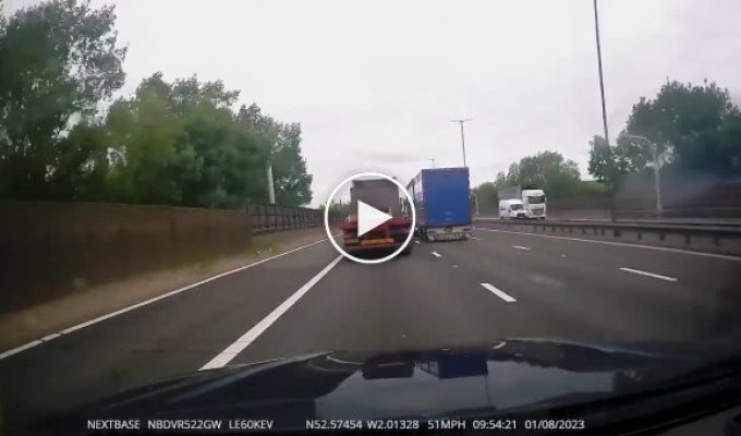 Корова выпала из грузовика на дорогу в Англии
