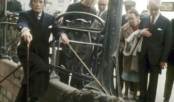 An eccentric walk: Salvador Dali on the streets of Paris with his pet Anteater