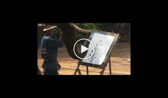 Слон рисует хоботом картину