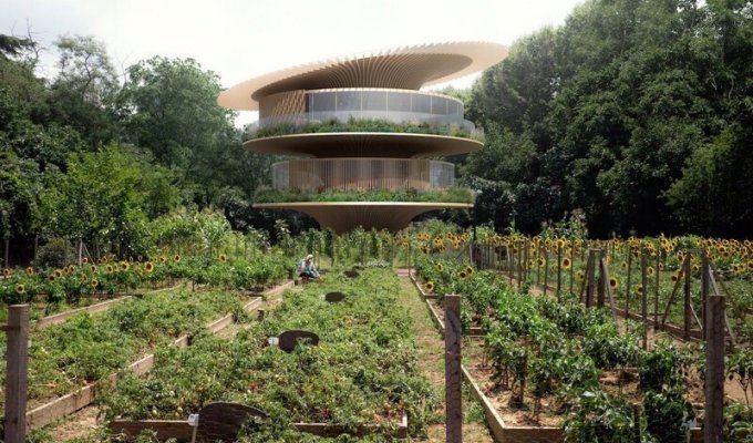 Архитектура будущего: дом-подсолнух, который движется к солнцу, как цветок (3 фото)