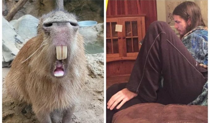 22 Hilarious Double-Take Photos That Will Make You Look Twice (23 photos)