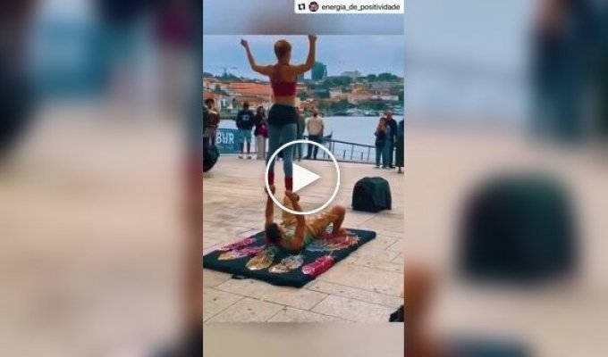 Acrobat dog stole all the show