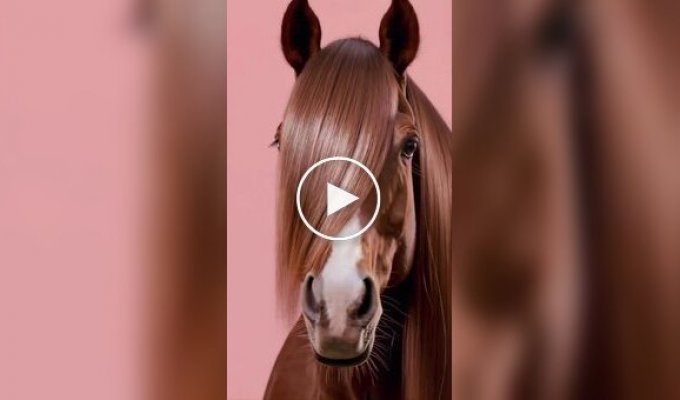 Стайлеры для кошек, собак и лошадей