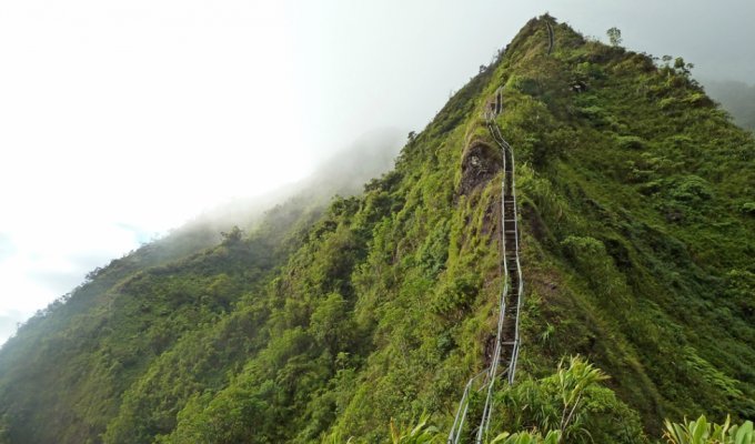 Лестница Хайку на Гаваях (11 фото)