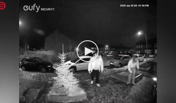 Слишком скользко, чтобы добраться домой: ледяной хаос