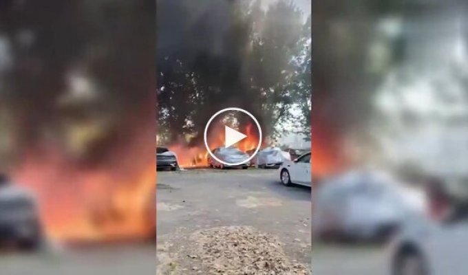 He fought poplar fluff, but won a parking lot. With 20 cars