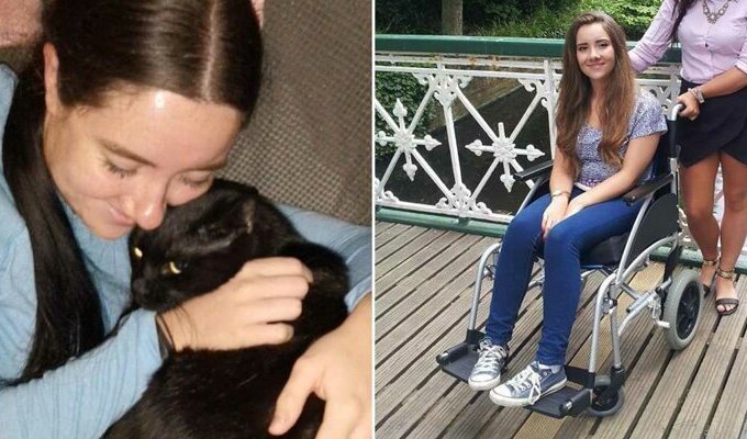 Девушка погладила бездомную кошку и оказалась парализована (14 фото)