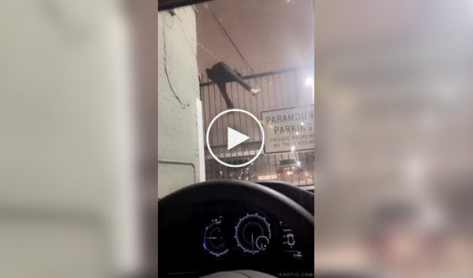 Попытка побега закончилась курьезом