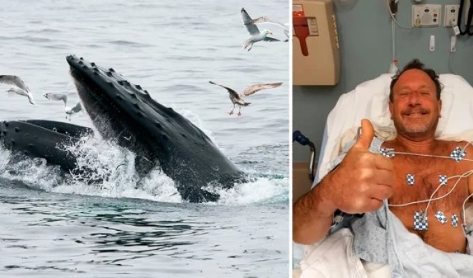 American escaped unharmed from the mouth of a whale (4 photos)