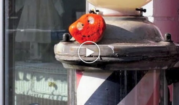 Стрит-арт в стиле Бэнкси от 10-летней девочки (20 фото + 1 видео)