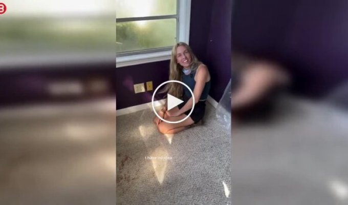 Сладкая находка: под полом дома обнаружили пчелиное царство