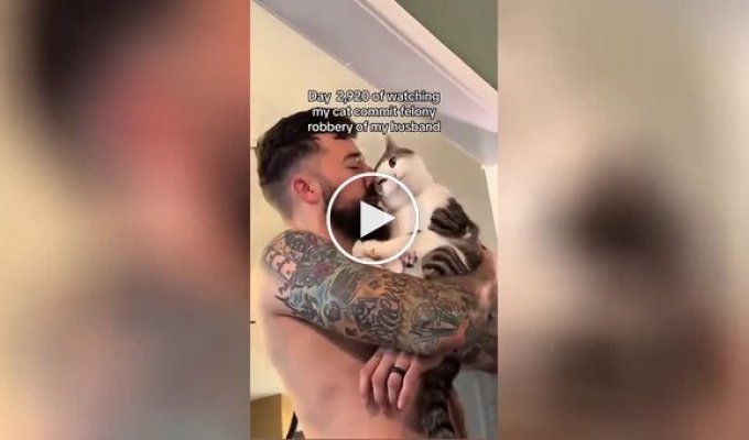 Девушки сняли на видео доказательства, что кошка запросто может увести мужчину