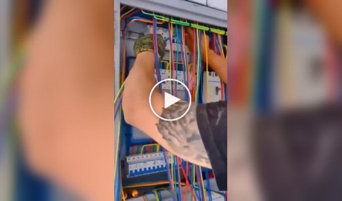 Когда укладка проводов становится искусством