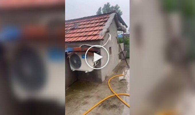 In China, Even Pigs Have Air Conditioning