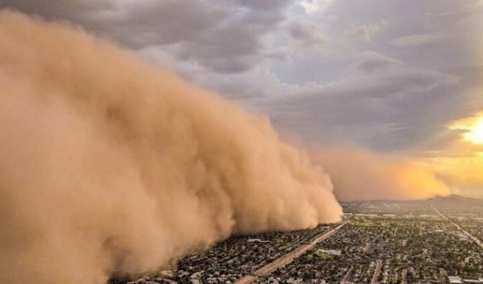 Из кабины вертолета: впечатляющие снимки песчаной бури, наступающей на город (8 фото)