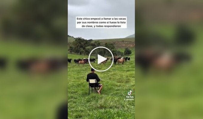 Перекличка на пастбище