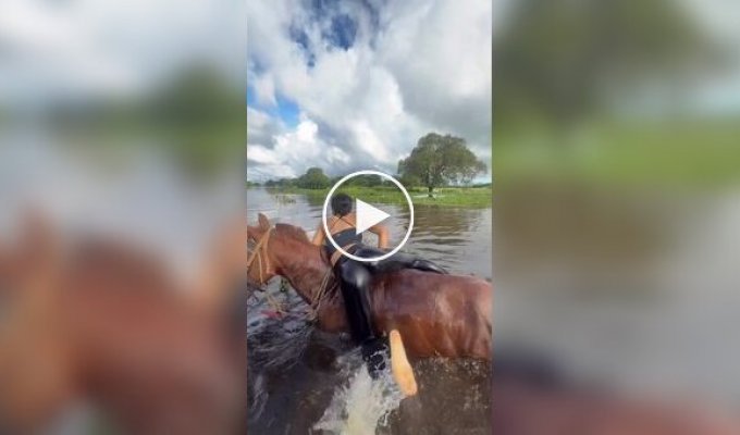 Девушка дружит с животными - и с тобой подружится