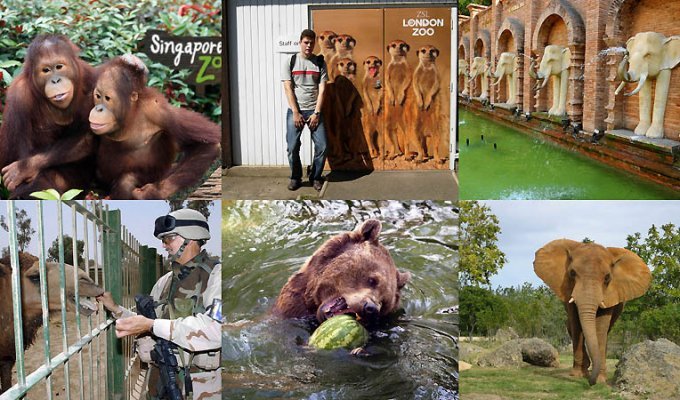 Лучшие зоопарки мира по версии «Forbes» (10 фото)