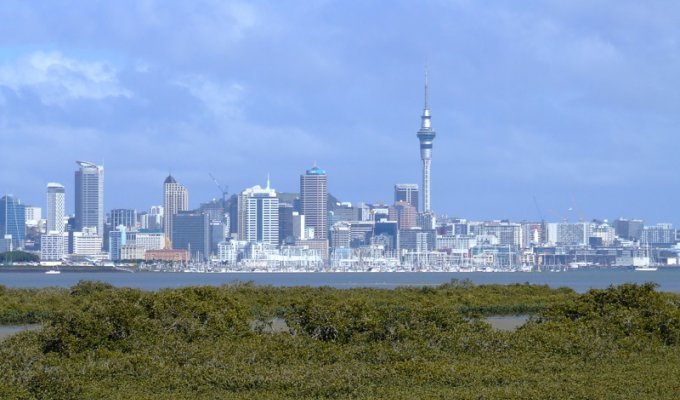 Новая Зеландия. Записки иммигранта (40 фото)