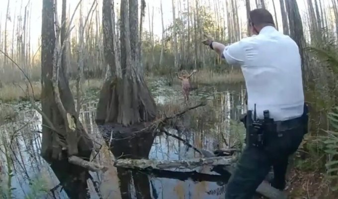 Missing girl found among Florida swamps (5 photos + 1 video)