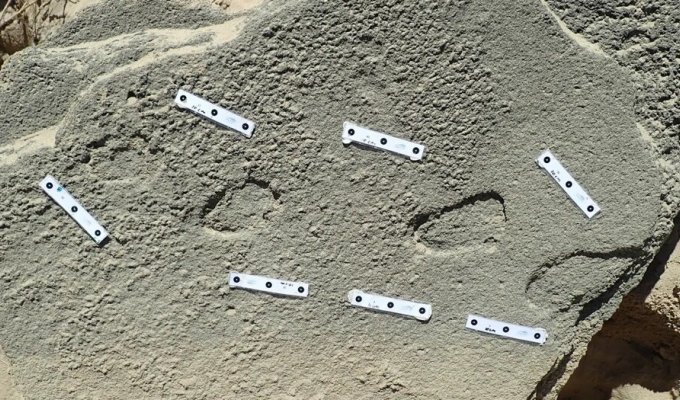 Ancient footprints may be evidence that people wore shoes 148,000 years ago (3 photos)