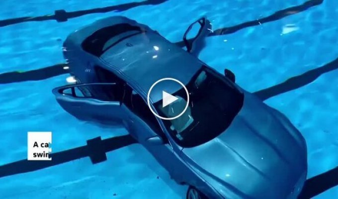 У Франції машина протаранила скляну стіну і впала в басейн