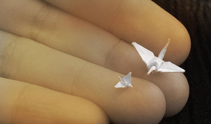 Мини-оригами (13 фото)